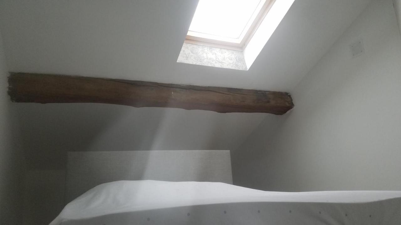 Tournus Castrum Romain- Loft 90M2 - 3 Etoiles - Petit Box Velo - 5Mn Autoroute Dış mekan fotoğraf